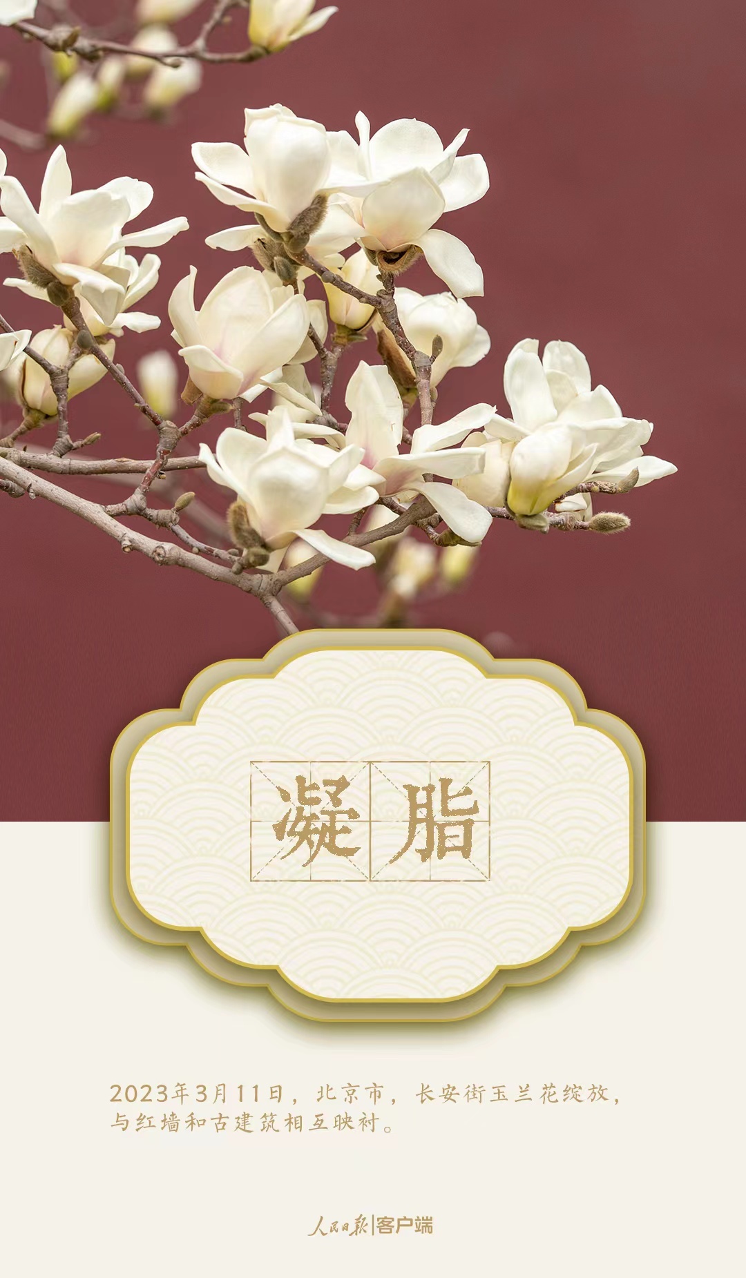 1679492574520467.jpg?x-oss-process=style/w10 微信图片_20230322214125.jpg?x-oss-process=style/w10