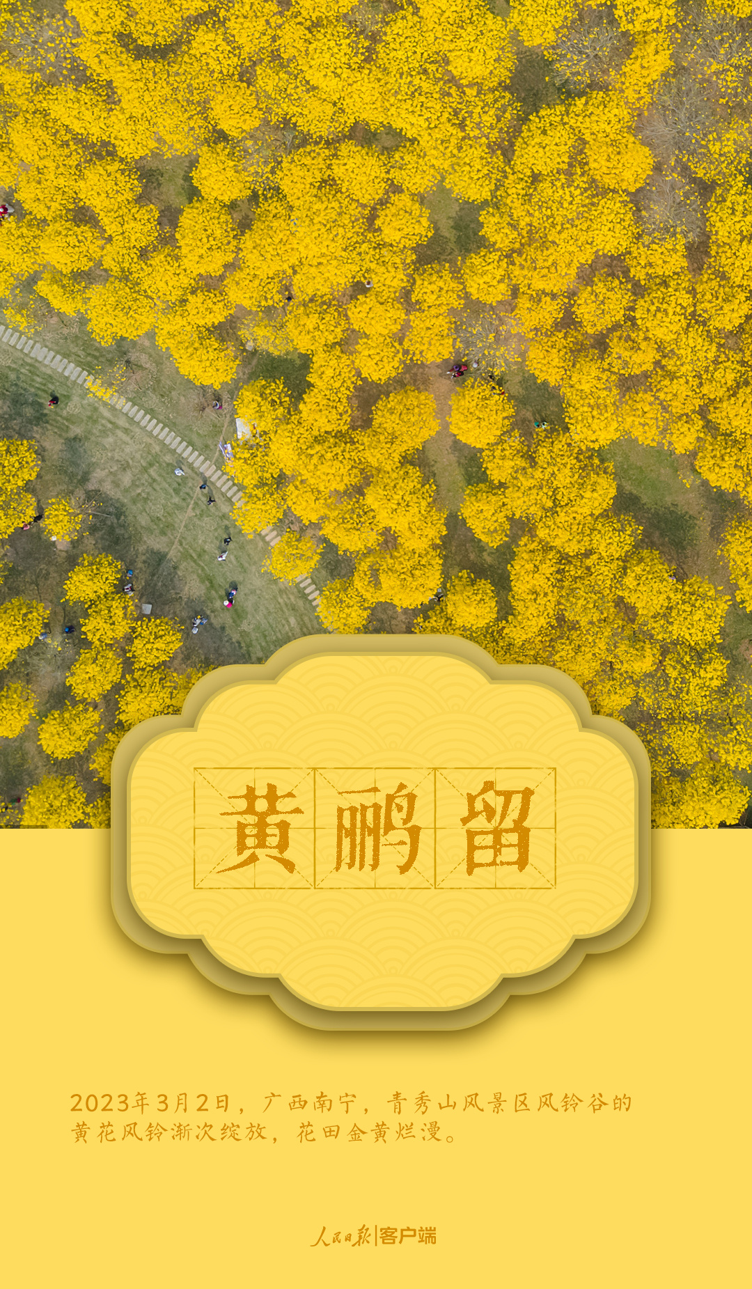 1679492582958091.jpg?x-oss-process=style/w10 微信图片_202303222141251.jpg?x-oss-process=style/w10