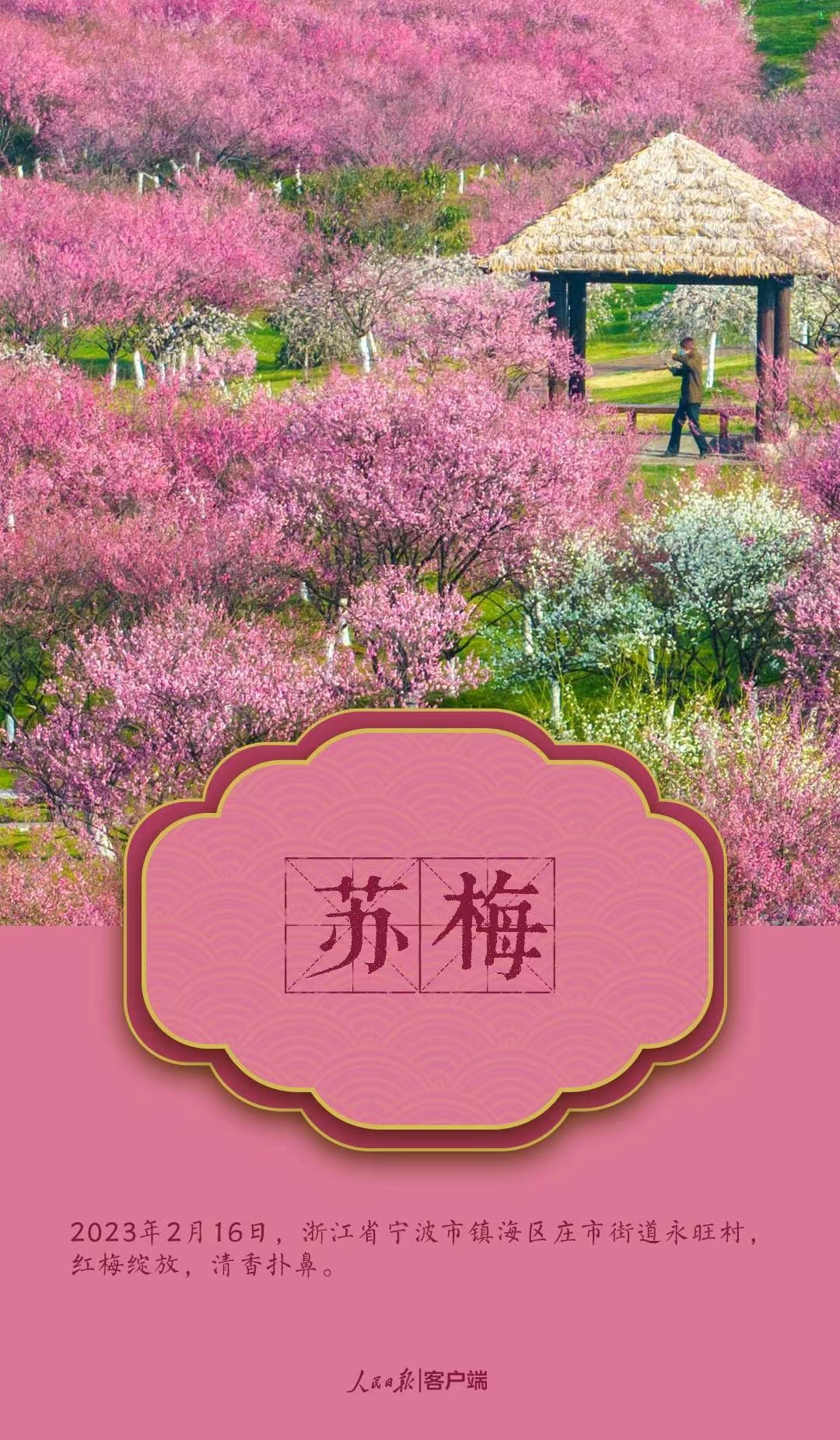 1679492589823832.jpg?x-oss-process=style/w10 微信图片_202303222141252.jpg?x-oss-process=style/w10