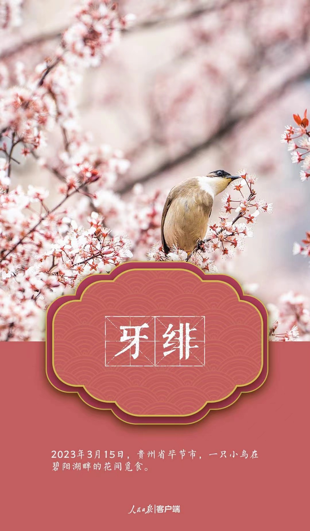 1679492596627915.jpg?x-oss-process=style/w10 微信图片_202303222141253.jpg?x-oss-process=style/w10