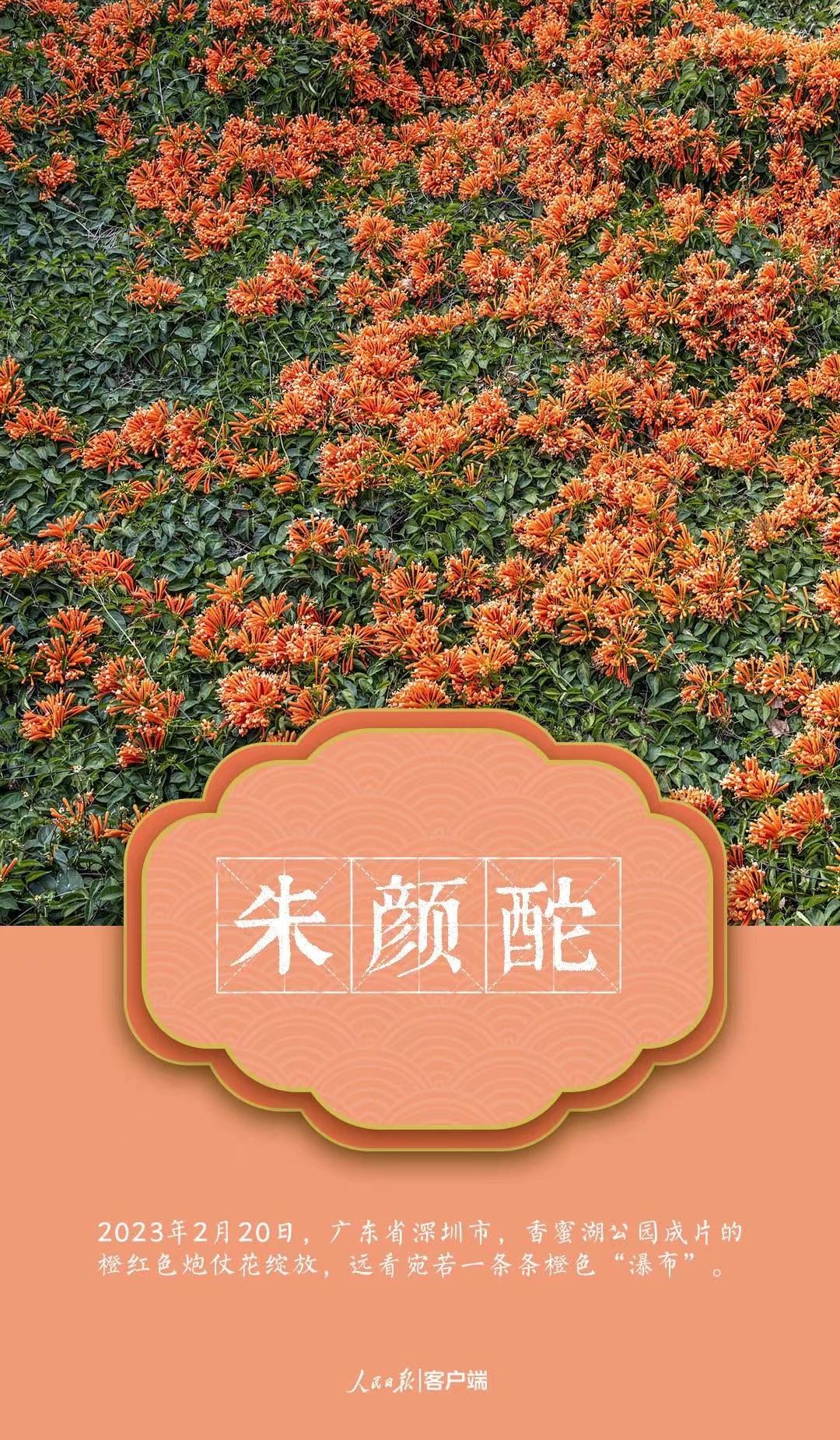 1679492602353901.jpg?x-oss-process=style/w10 微信图片_202303222141254.jpg?x-oss-process=style/w10
