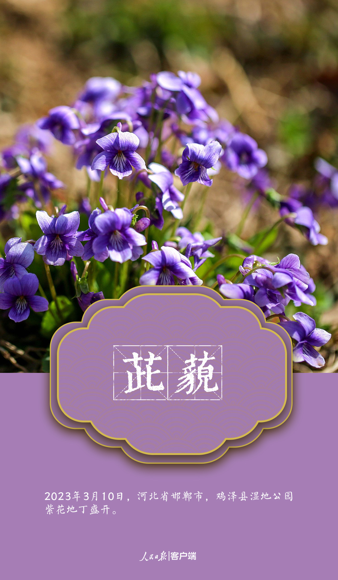 1679492626514567.jpg?x-oss-process=style/w10 微信图片_202303222141256.jpg?x-oss-process=style/w10