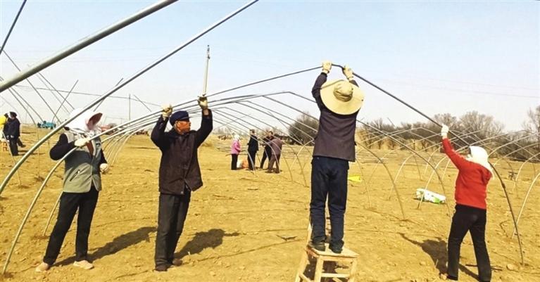 古浪：建设万亩麒麟西瓜产业园 发展好“家门口”的特色产业