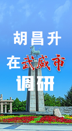图解|胡昌升在武威市调研时强调了这些！