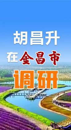 图解|胡昌升在金昌市调研时强调了这些！