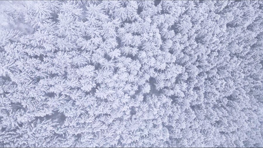 甘肃榆中:春雪润兴隆【6】