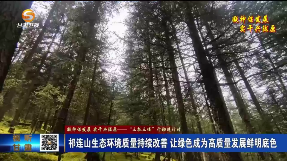 复制图片