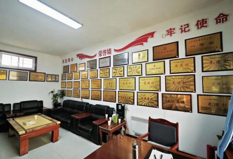 乡村振兴的“上庄模式”