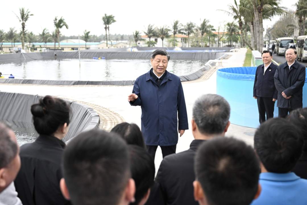 1681274248429944.png?x-oss-process=style/w10 图片1.png?x-oss-process=style/w10