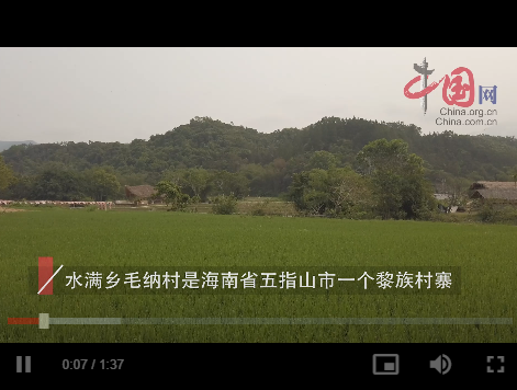 2023中国有约丨中外记者探访海南黎族村寨毛纳村