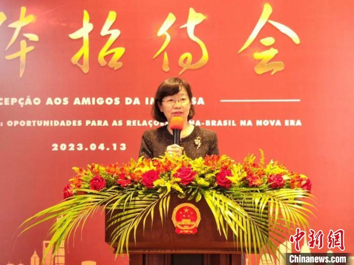 巴西学者专家热议“中国式现代化对新时期中巴关系的机遇”