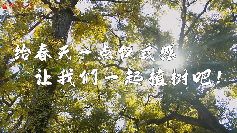 短视频|给春天一点仪式感，让我们一起植树吧！