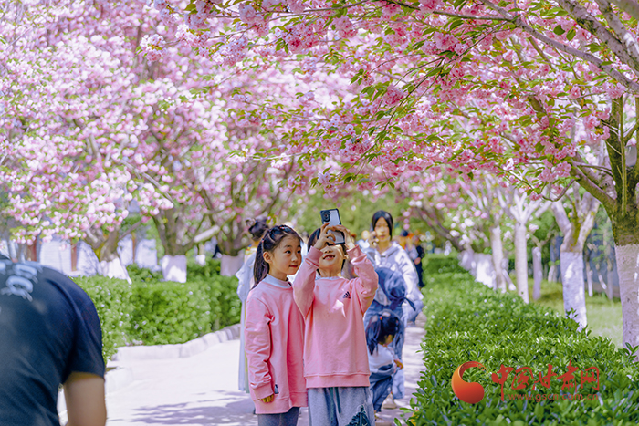 最美四月天 金徽酒厂开启“赏花模式”