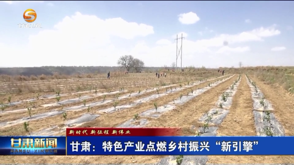 复制图片