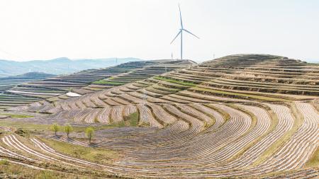 定西通渭：90万亩地膜田“覆”出农业新希望