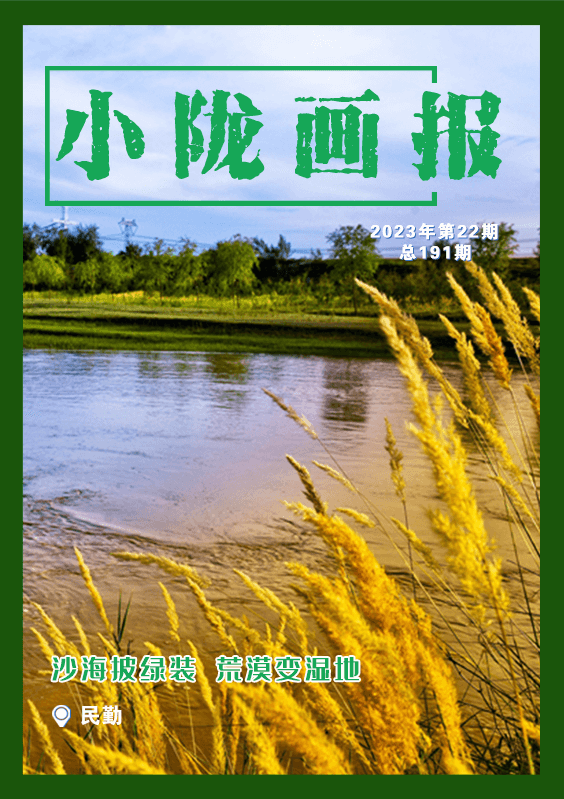 【小陇画报·191期】沙海披绿装 荒漠变湿地