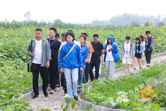 媒体记者在花仙子·万花园参观采访。华龙网-新重庆客户端记者 欧武夷 摄