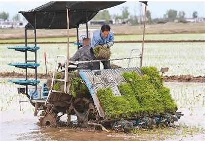 中国有15亿亩盐碱地，是全球第三大盐碱地分布国家—— 唤醒“沉睡”的耕地后备资源