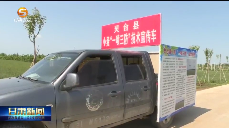 复制图片