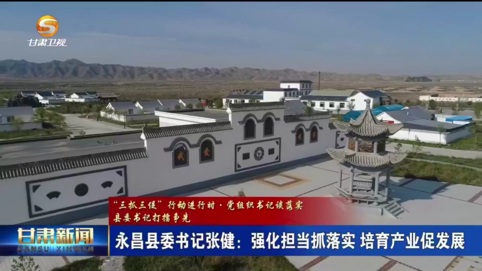 【短视频】（“三抓三促”行动进行时·党组织书记谈落实·县委书记打擂争先）永昌县委书记张健：强化担当抓落实 培育产业促发展