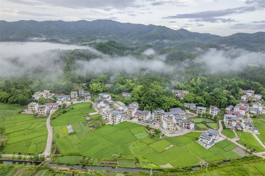 6月8日,航拍镜头下的江西省赣州市信丰县大桥镇大桥村。张元兵摄