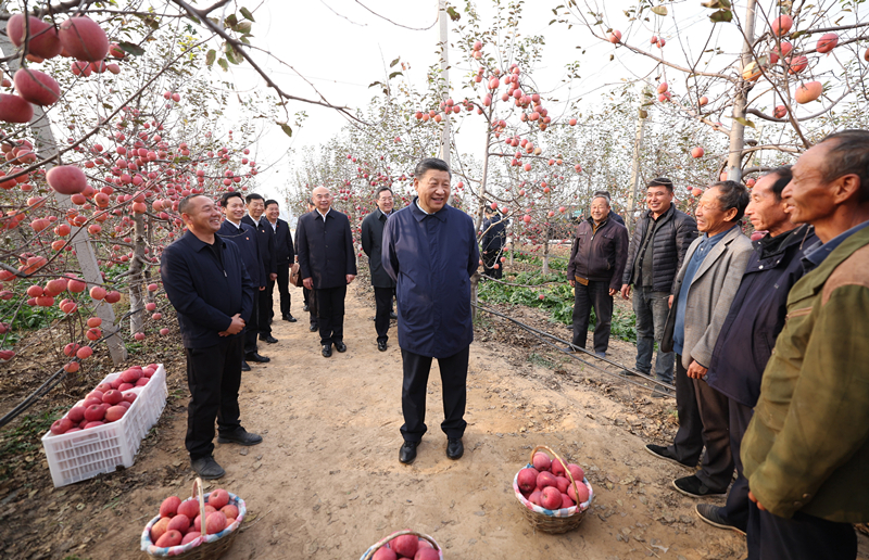 2022年10月26日,习近平总书记在陕西省延安市安塞区高桥镇南沟村苹果园同老乡们亲切交流。