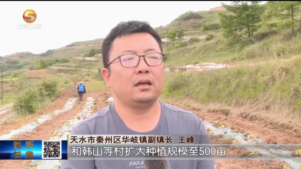 复制图片