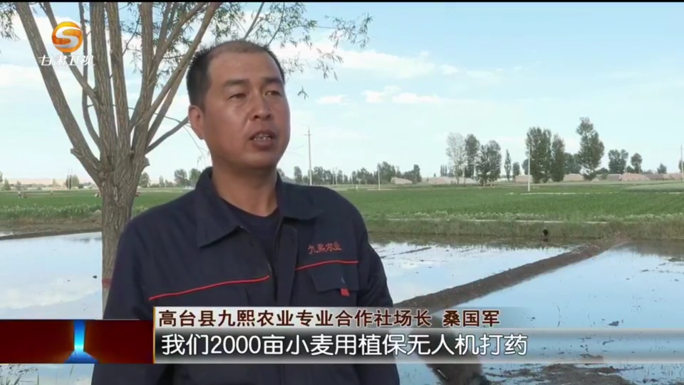 复制图片
