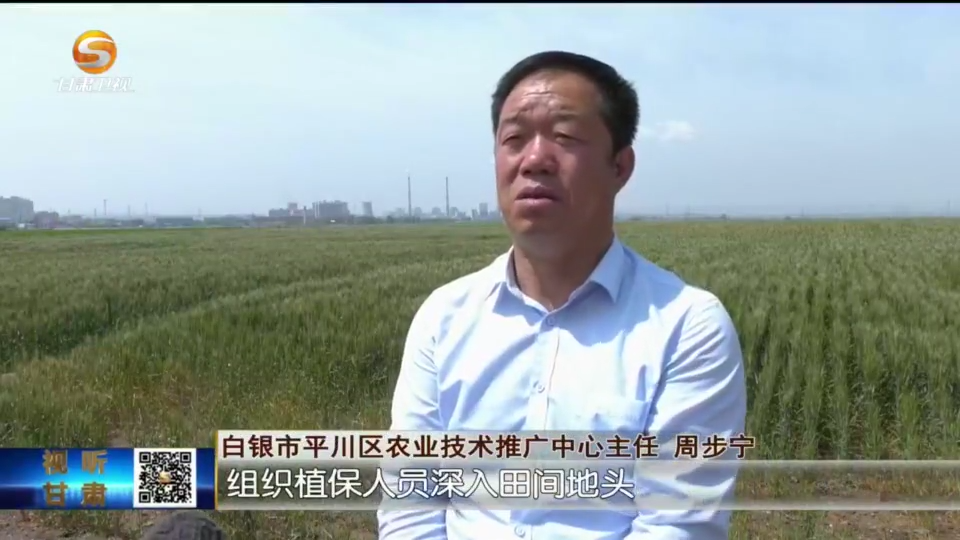 复制图片
