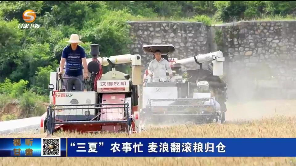 复制图片