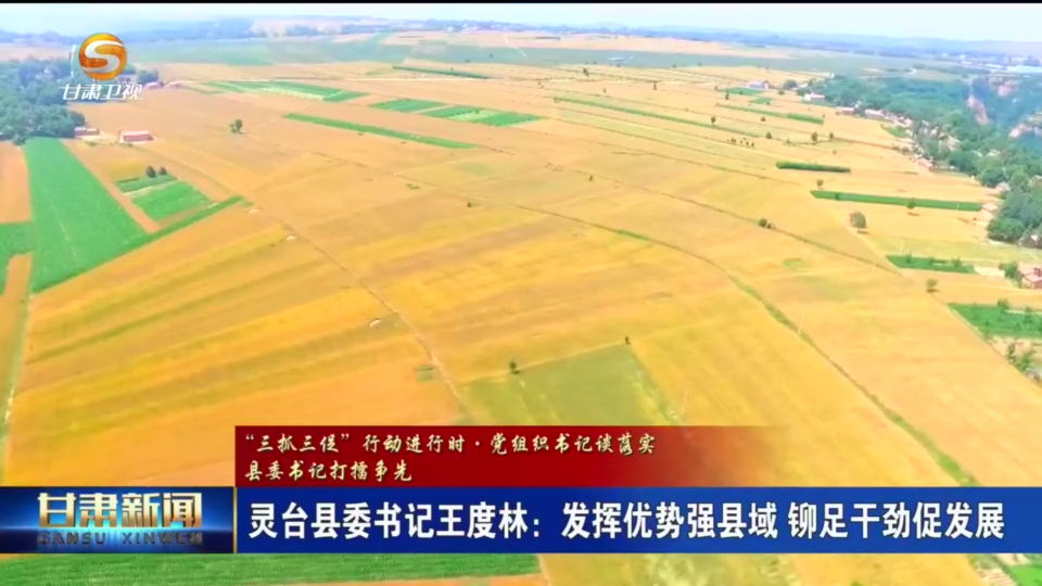 复制图片