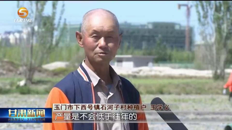 复制图片