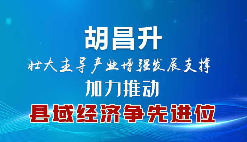 胡昌升：壮大主导产业增强发展支撑 加力推动县域经济争先进位