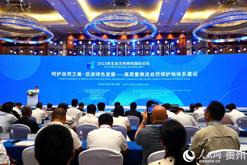 论坛现场。人民网 阳茜摄