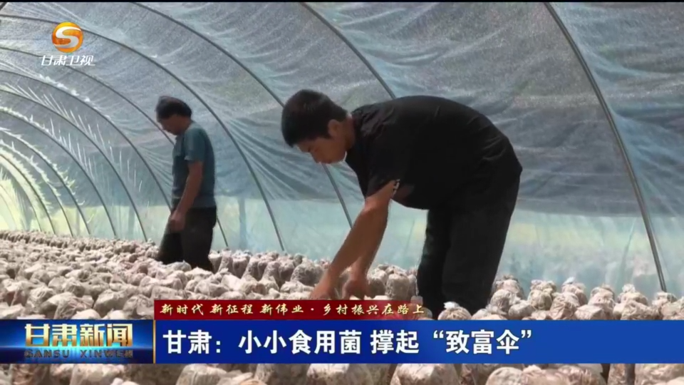 复制图片