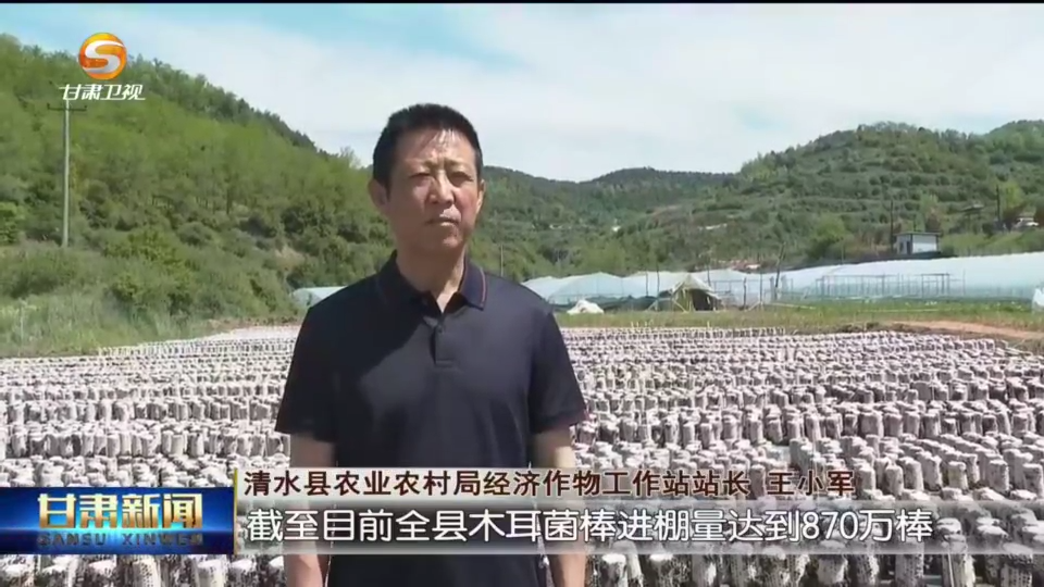 复制图片