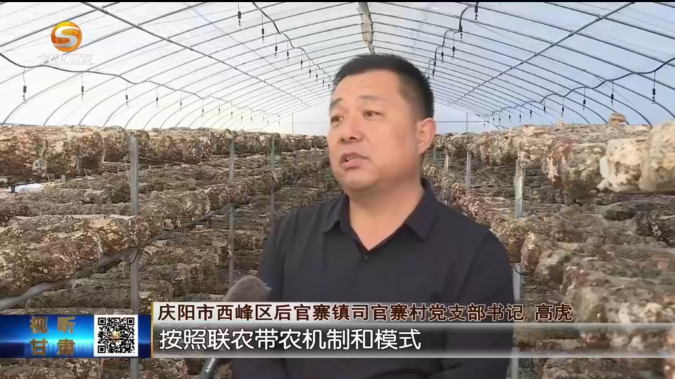 复制图片