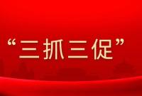 【时政】甘肃省制定十项措施推动“三抓三促”行动