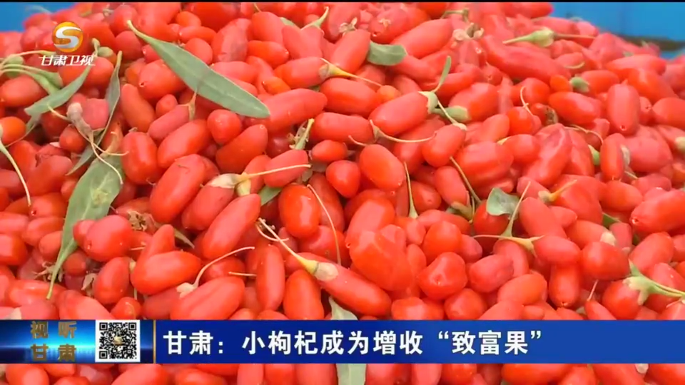 复制图片