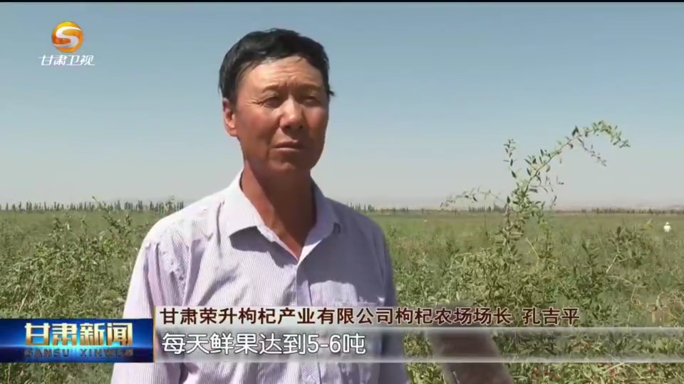 复制图片
