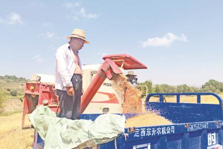 定西市安定区：麦黄盛夏 颗粒归仓