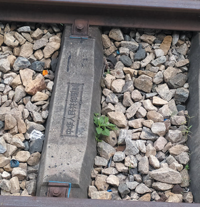 本报记者近日走访坦赞铁路—— 一条友谊之路、发展之路