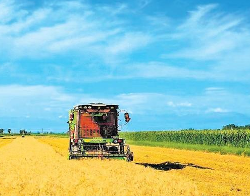 【三农】甘肃省农业农村经济形势持续向好稳中有进