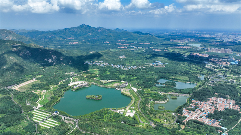 7月28日,山东省邹平市西董街道樱花山湖光山色碧连天景观。