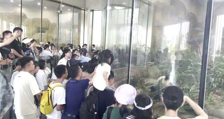 “看大运 耍成都”:创意之旅 启幕大运 “看大运 耍成都”:创意之旅 启幕大运