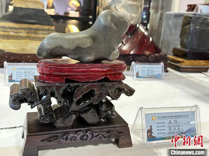 8月3日——7日，2023中国(兰州)丝绸之路国际赏石文化节在甘肃国际会展中心举行。图为名为《虎符》的黄河石。杨娜 摄</p><p>