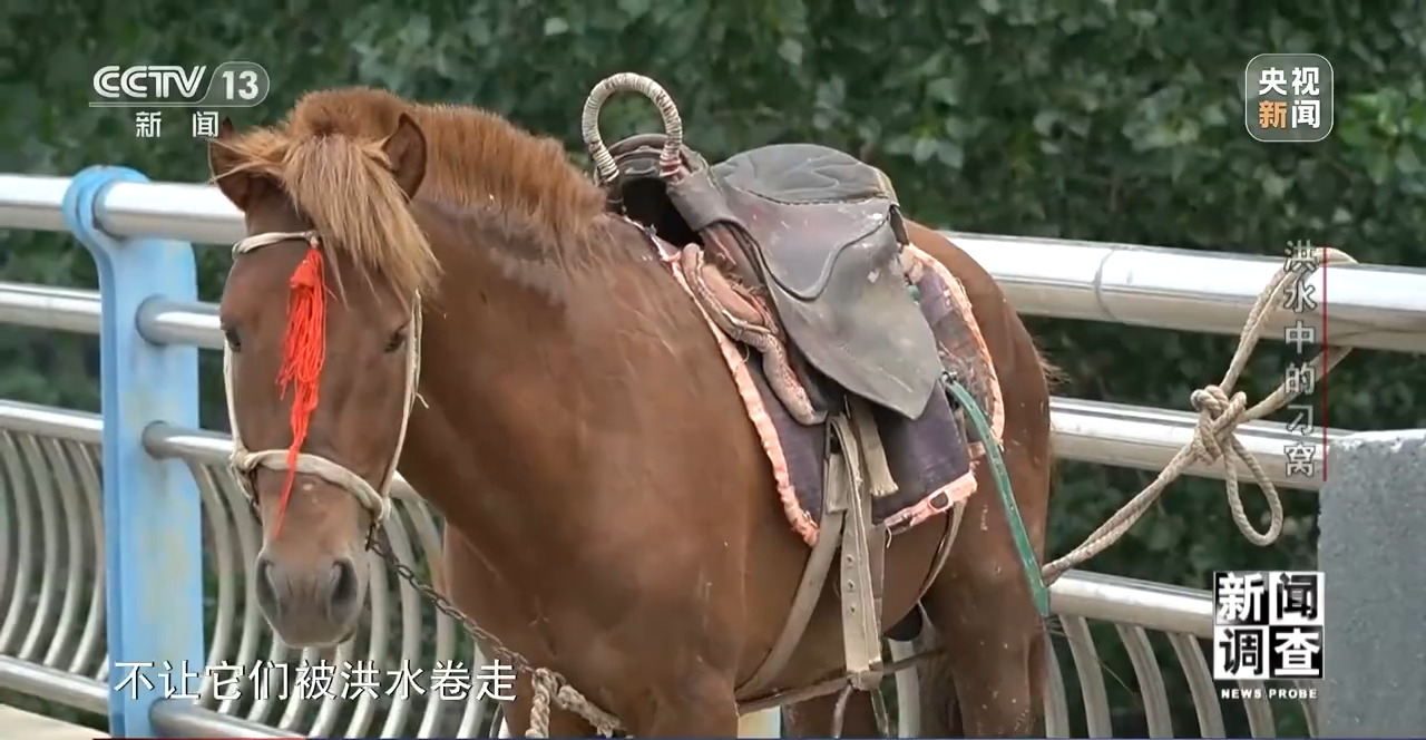 洪水中的刁窝：一周救援重建纪实
