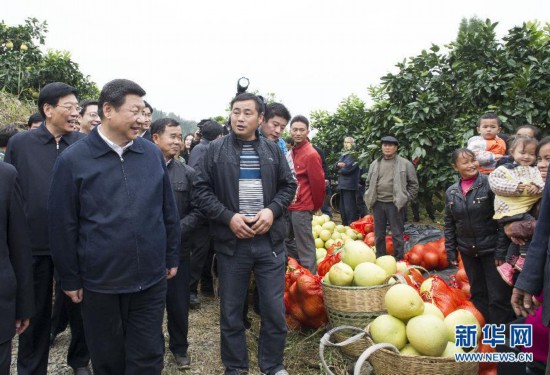 2013年11月3日至5日,中共中央总书记、国家主席、中央军委主席习近平在湖南考察。这是3日下午,习近平来到湘西土家族苗族自治州凤凰县廖家桥镇菖蒲塘村了解扶贫开发和水果产业发展情况。 新华社记者 王晔摄