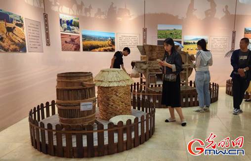 【石榴花开 籽籽同心】农业文化遗产在当代:敖汉小米如何助力乡村振兴 【石榴花开 籽籽同心】农业文化遗产在当代:敖汉小米如何助力乡村振兴