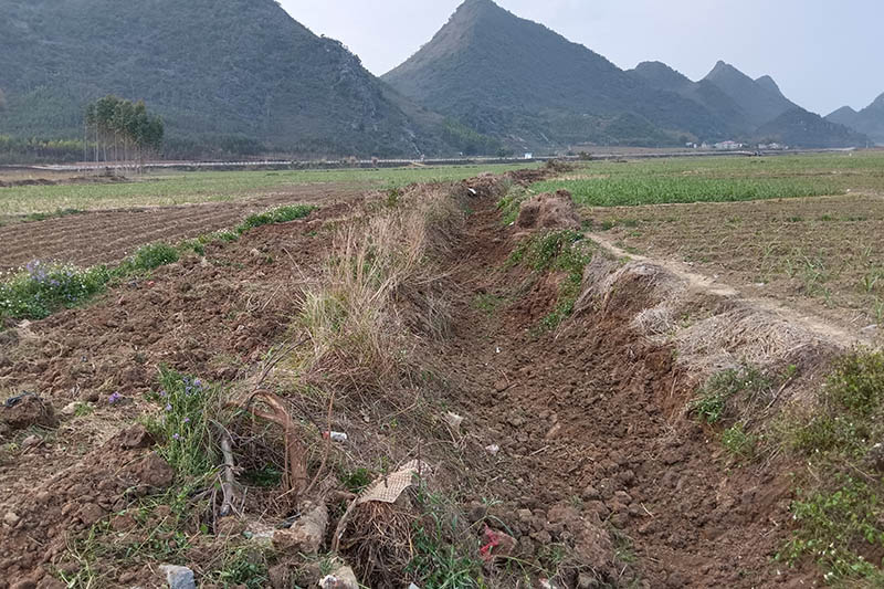 清淤修渠前的田地。受访者供图